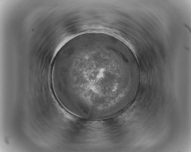 X0000091201533200708161603