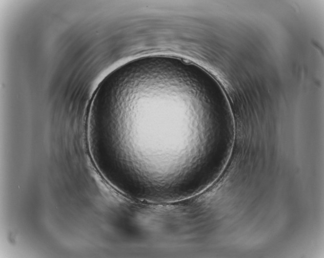 X0000091201534200708161603
