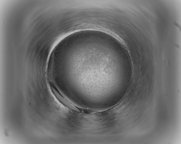 X0000091201536200708161603