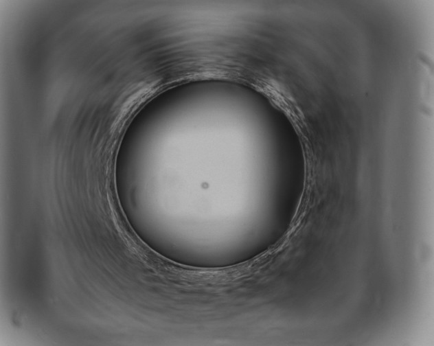X0000091200001200708231540