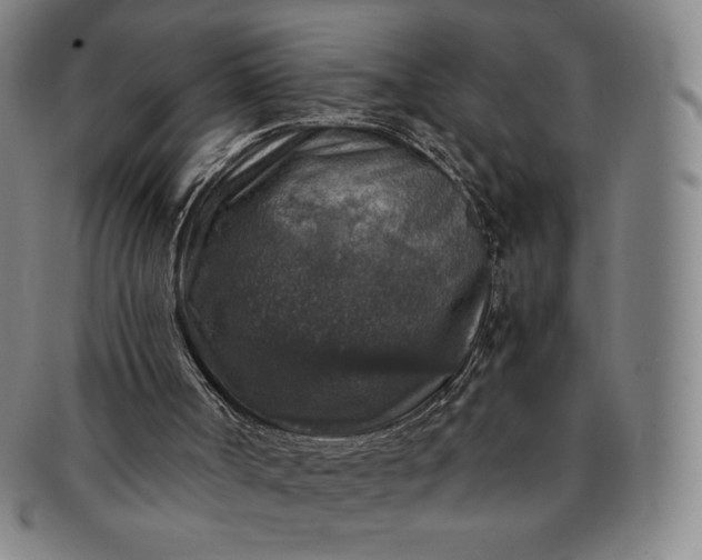 X0000091200002200708231540