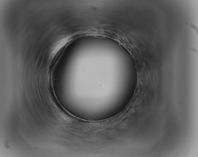 X0000091200005200708231540