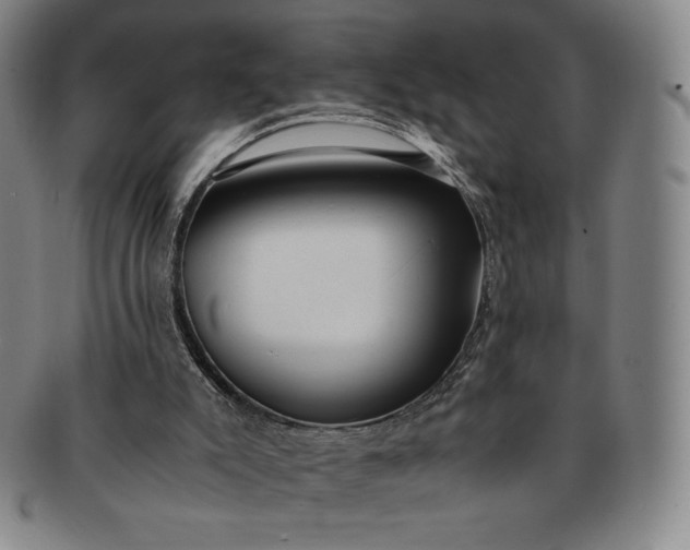 X0000091200007200708231540