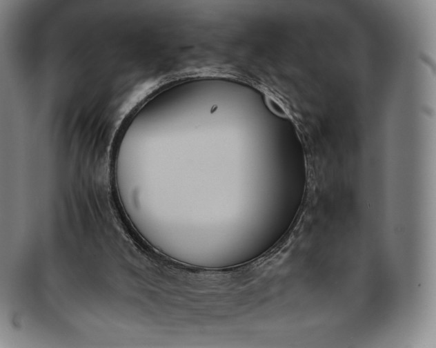 X0000091200008200708231540