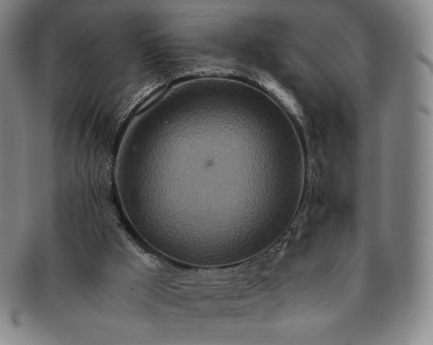 X0000091200009200708231540