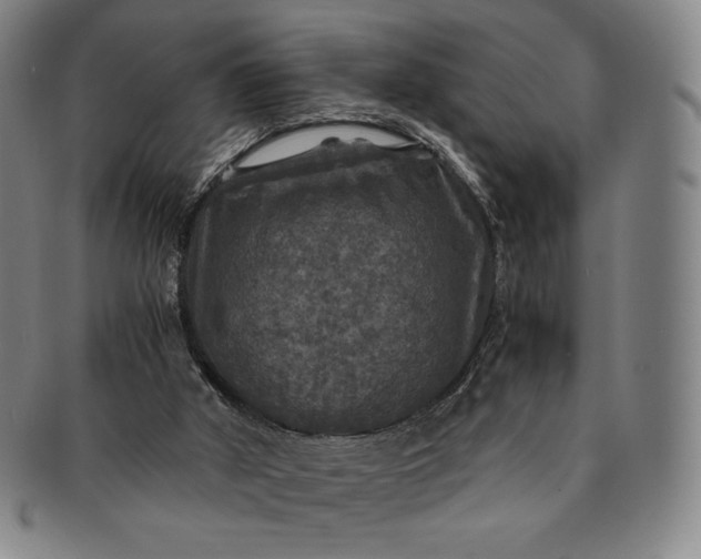 X0000091200010200708231540
