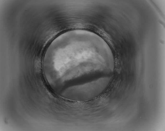 X0000091200012200708231540