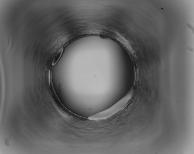 X0000091200013200708231540