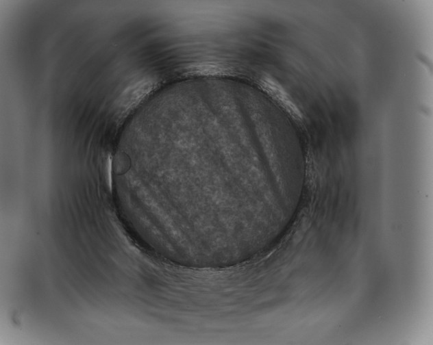 X0000091200014200708231540