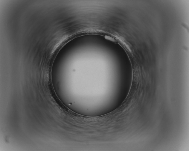 X0000091200015200708231540