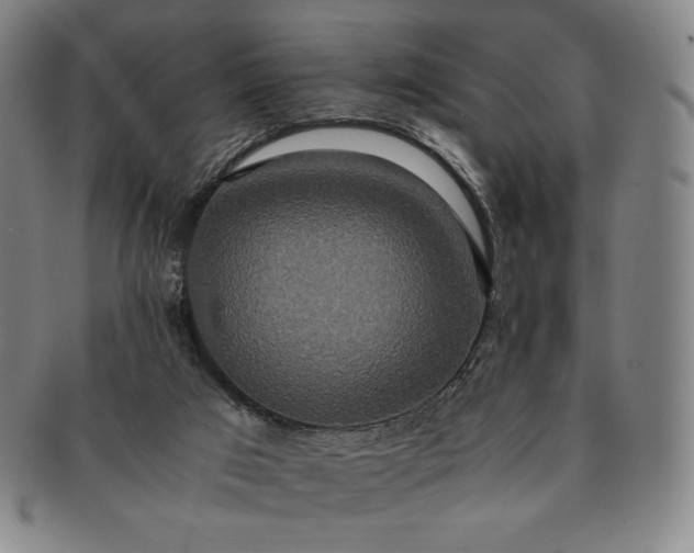 X0000091200017200708231540