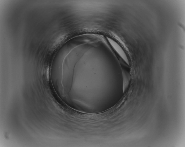 X0000091200019200708231540