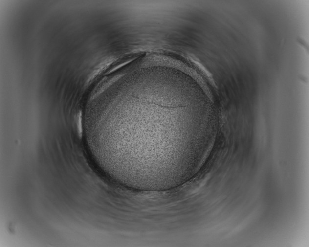 X0000091200020200708231540