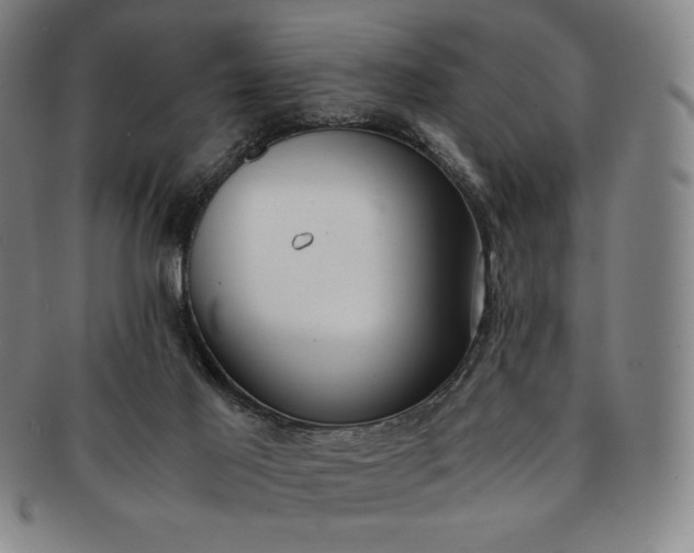 X0000091200021200708231540