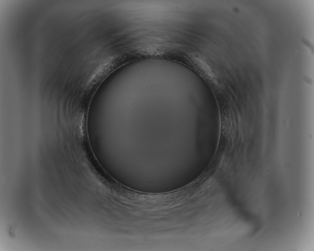 X0000091200023200708231540