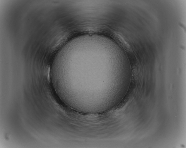 X0000091200024200708231540