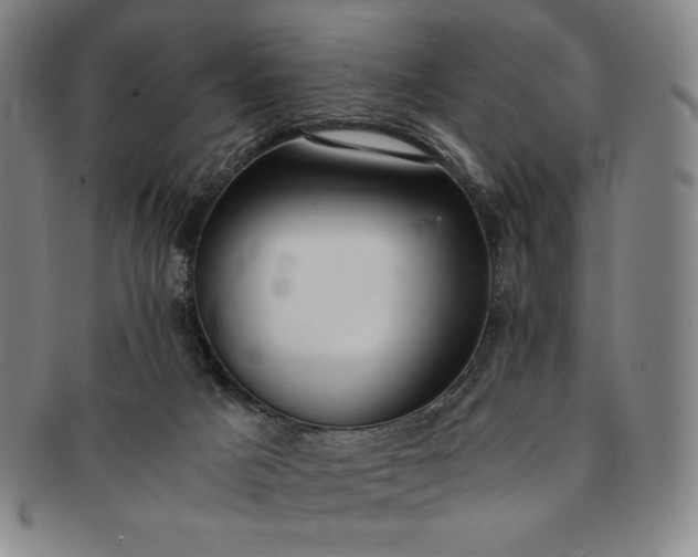 X0000091200025200708231540