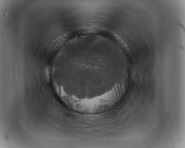 X0000091200026200708231540