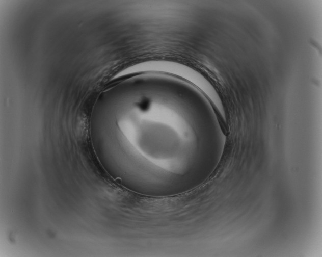 X0000091200029200708231540