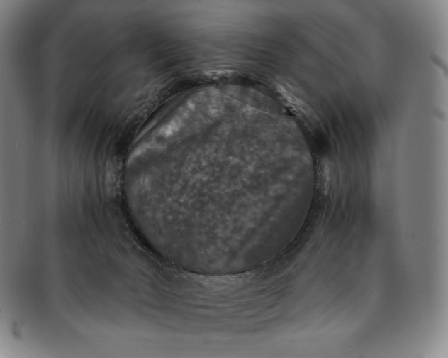 X0000091200030200708231540