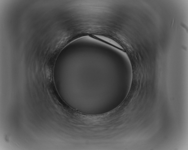 X0000091200031200708231540