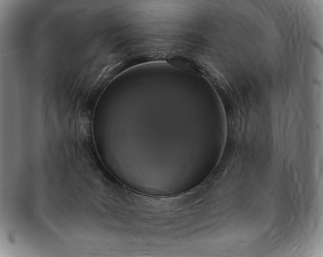 X0000091200035200708231540
