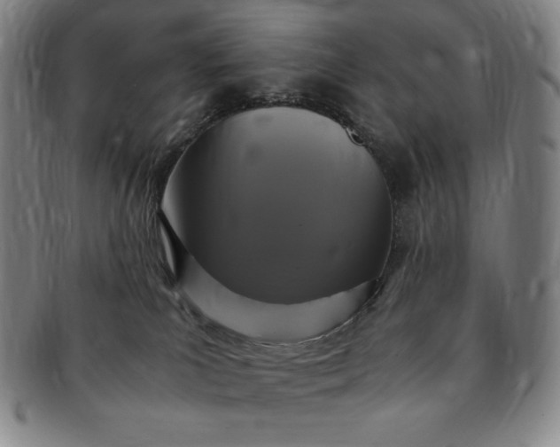 X0000091200039200708231540