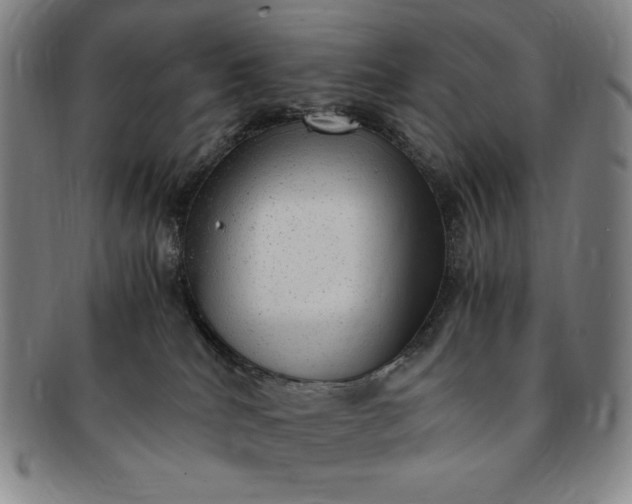 X0000091200040200708231540