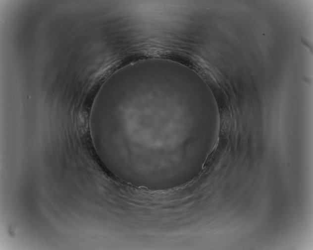 X0000091200043200708231540