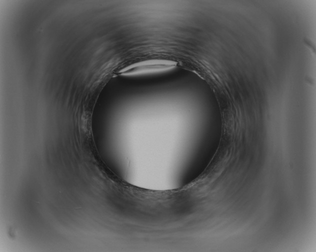 X0000091200044200708231540