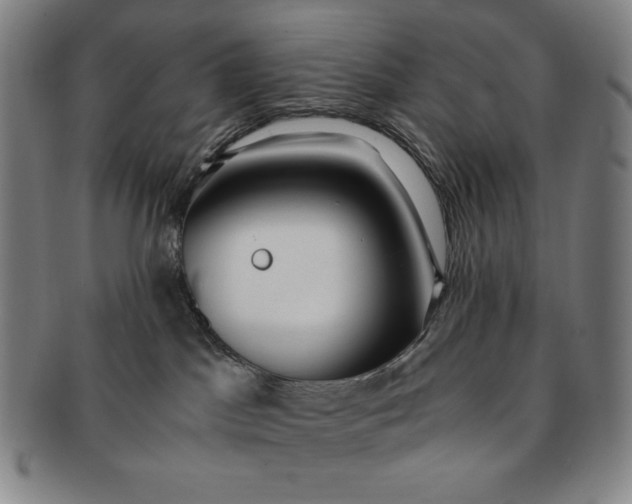 X0000091200045200708231540