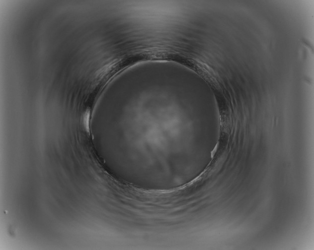 X0000091200047200708231540
