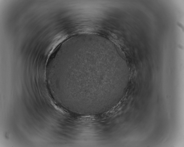 X0000091200050200708231539