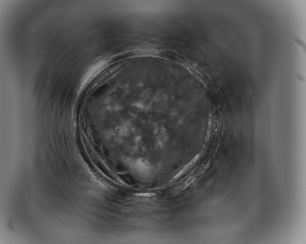 X0000091200053200708231539