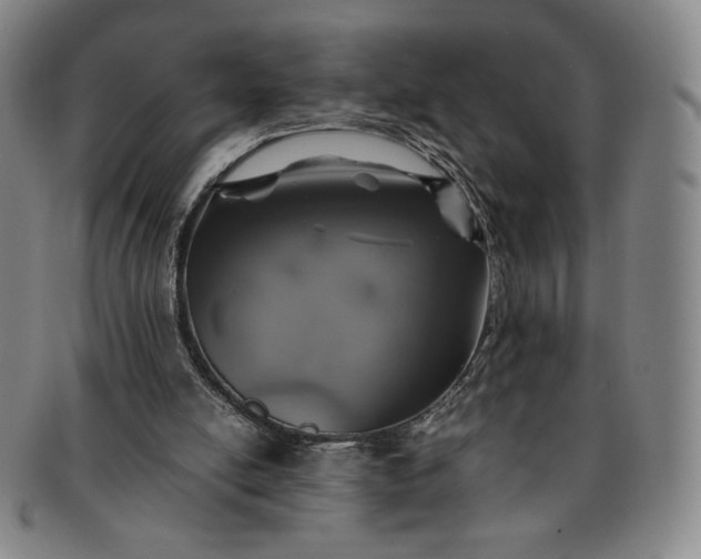 X0000091200054200708231539