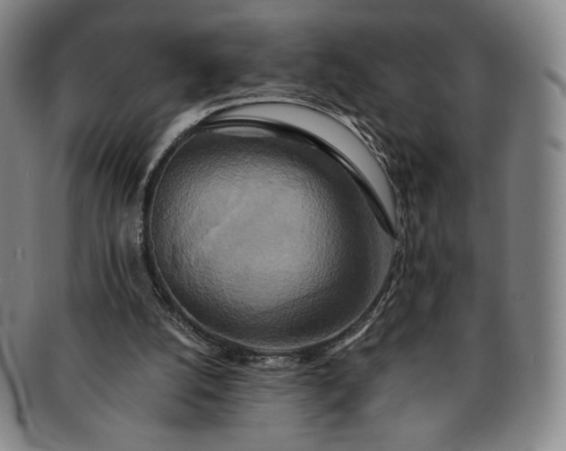 X0000091200056200708231539