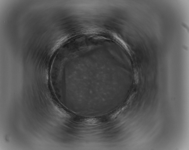 X0000091200059200708231539