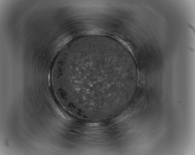 X0000091200061200708231539