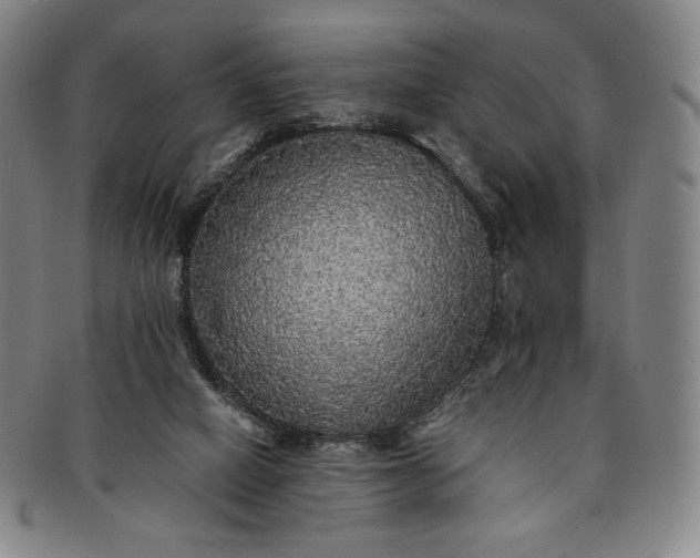 X0000091200066200708231539