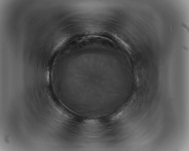 X0000091200067200708231539