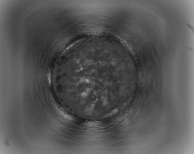 X0000091200069200708231539