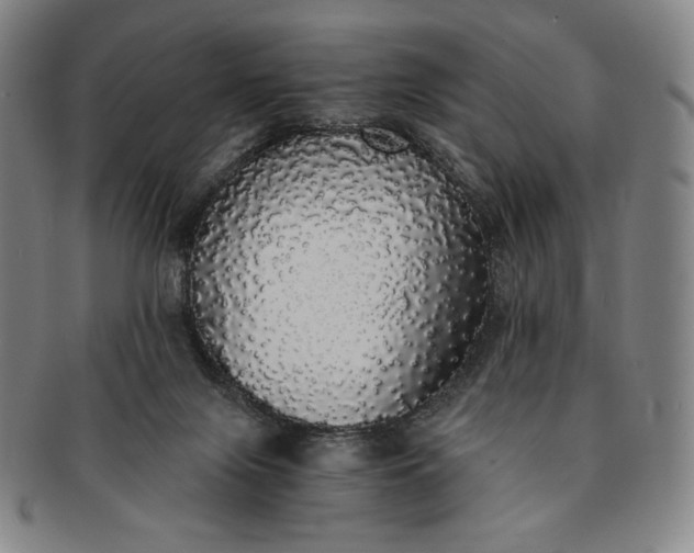X0000091200071200708231539