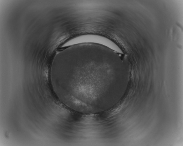 X0000091200072200708231539