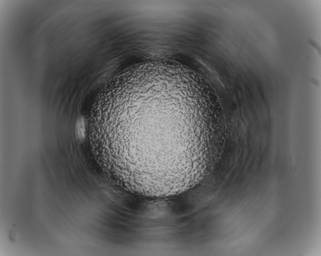 X0000091200075200708231539