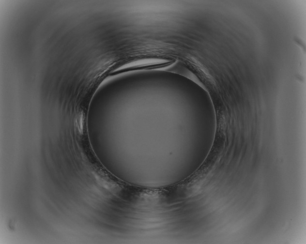 X0000091200076200708231539