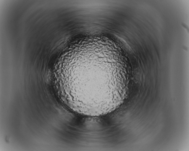 X0000091200077200708231540