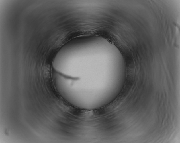X0000091200083200708231540