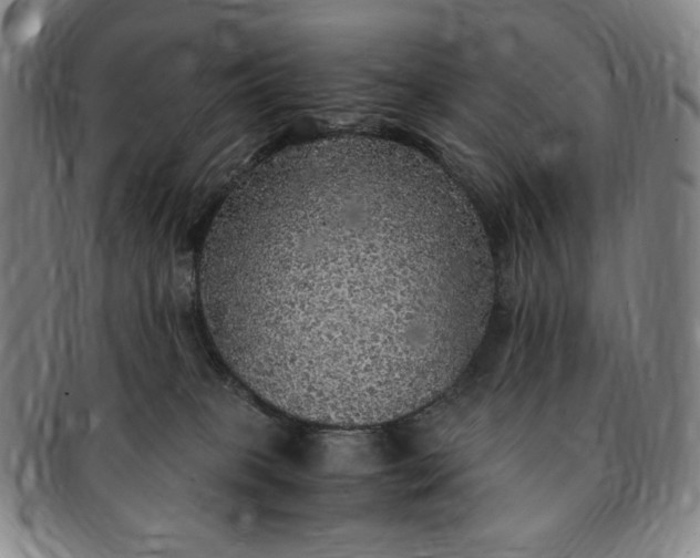 X0000091200085200708231540