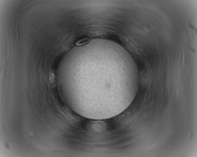 X0000091200087200708231540