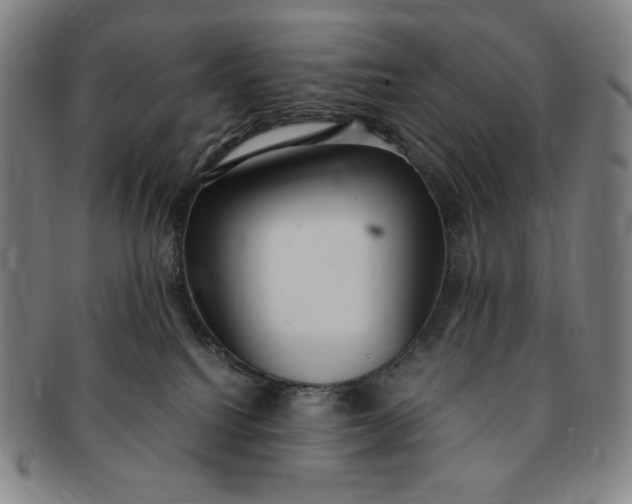 X0000091200088200708231540